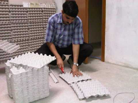 ram_egg_trays.jpg